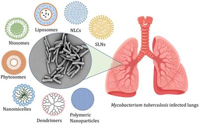 Nanocarrier-Based Approaches for the Efficient Delivery of Anti-Tubercular Drugs and Vaccines for Management of Tuberculosis